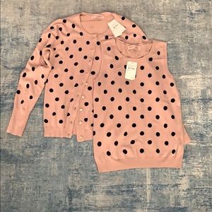 NWT Philosophy sweater set